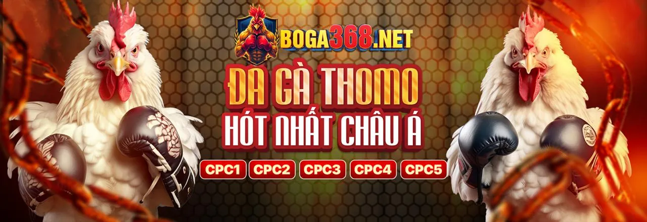 Mẹo chơi và lưu ý quan trọng khi tham gia đá gà iwin apk